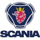 Ремонт форсунок Scania